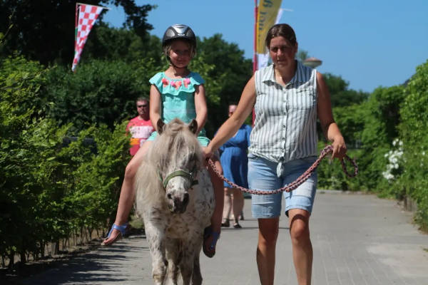 Camping de Kuilen: Op een paard rijden