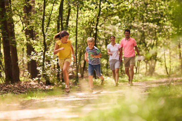 RCN de Jagerstee: Wandelen door het bos met het gezin