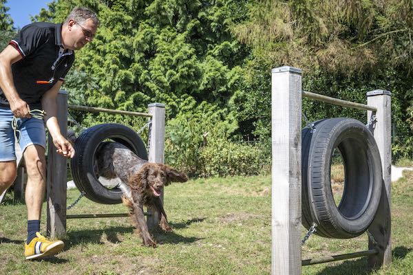 Veluwecamping 't Schinkel: Spelen met de hond