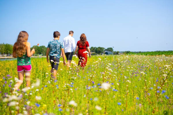 Van de groene omgeving genieten samen met de familie