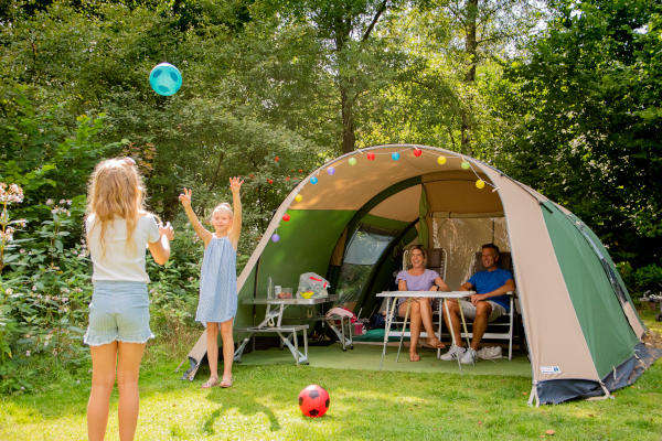 kinderen spelen met gezin in natuur