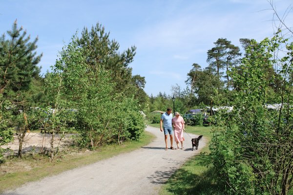 Wandeling met de hond op de camping