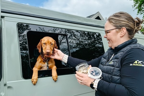 Honden zijn ook toegestaan op de camping