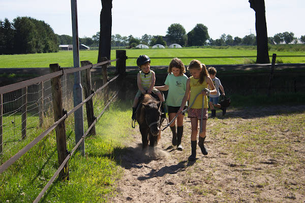 Minicamping Hendriks Wijkje: pony activiteit