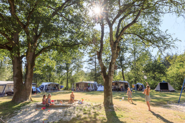 RCN de Roggeberg: Kampeerterrein bij de camping