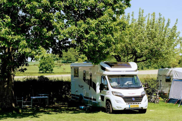 Camping Catsop: Caravan onder een boom