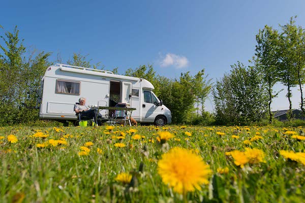 Prachtig kampeerplekje op het gras