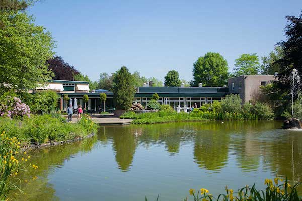 Molecaten Park Landgoed Ginkelduin: Vijvertje bij camping