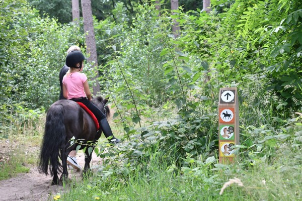 Meisje rijdt op een pony