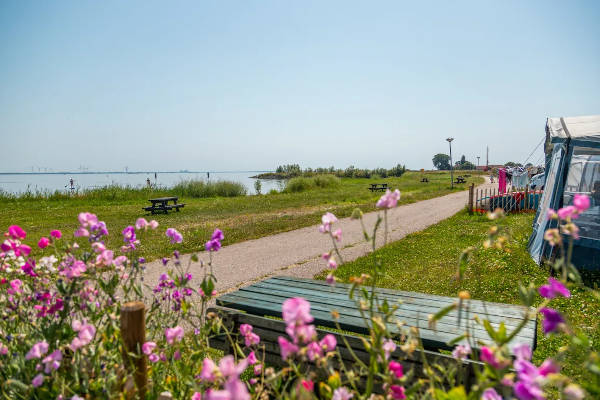 De kampeerplaatsen staan mooi in de zon