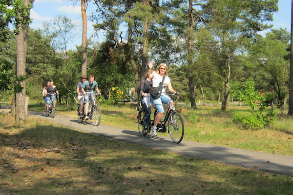 Fietsen in het bos in de Veluwe